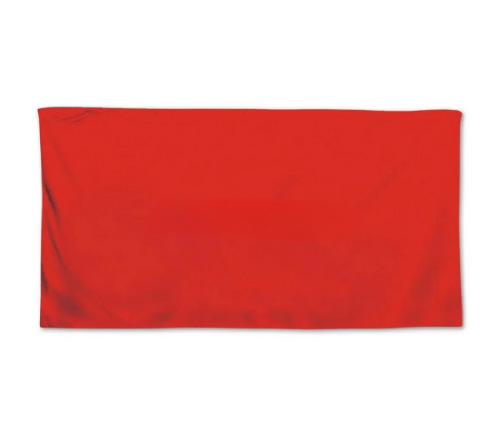 T829 - 100% Cotton Velour Beach Towel