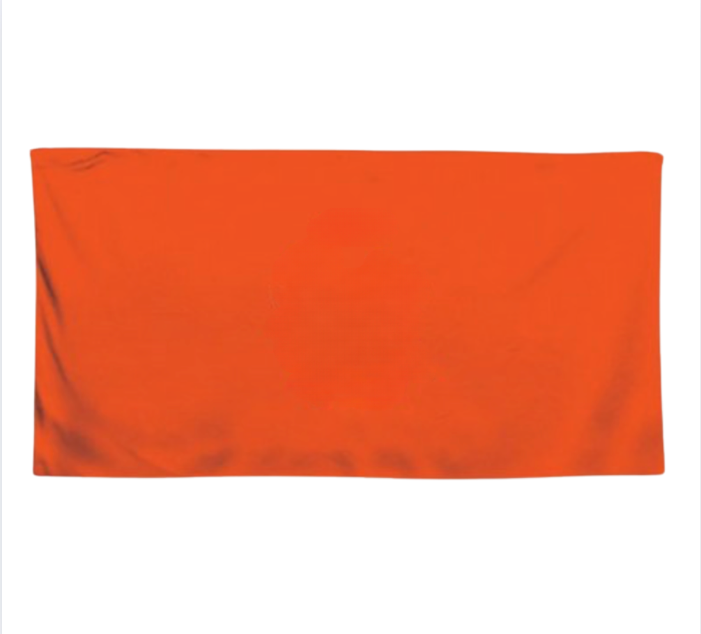 T829 - 100% Cotton Velour Beach Towel