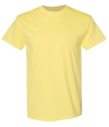 Heavy Cotton™ T-shirt - 5000